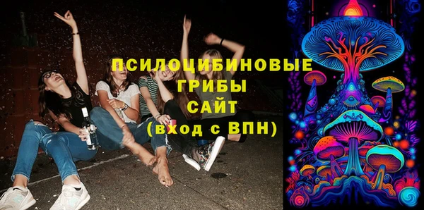 молекула духа Аркадак