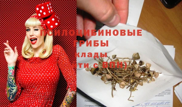 молекула духа Аркадак