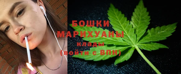 молекула духа Аркадак